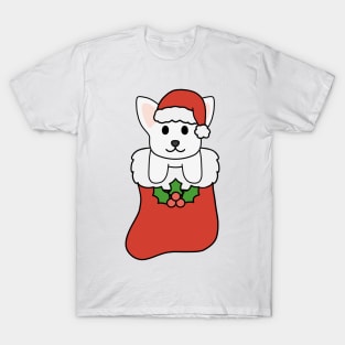 Christmas White Chihuahua Stocking T-Shirt